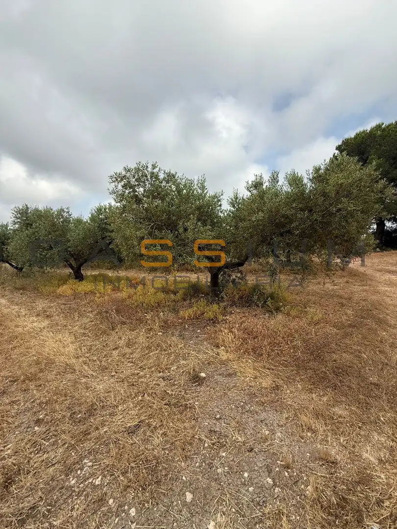 Rustikales Grundstück zum Verkauf in Partida Planes 1, imagen 14