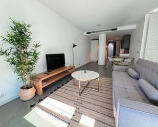 Sala d'estar de Apartament de lloguer en  Madrid Capital amb Aire condicionat i Balcó