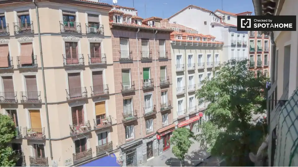 Appartement avec terrasse à louer à Centro, imagen 8