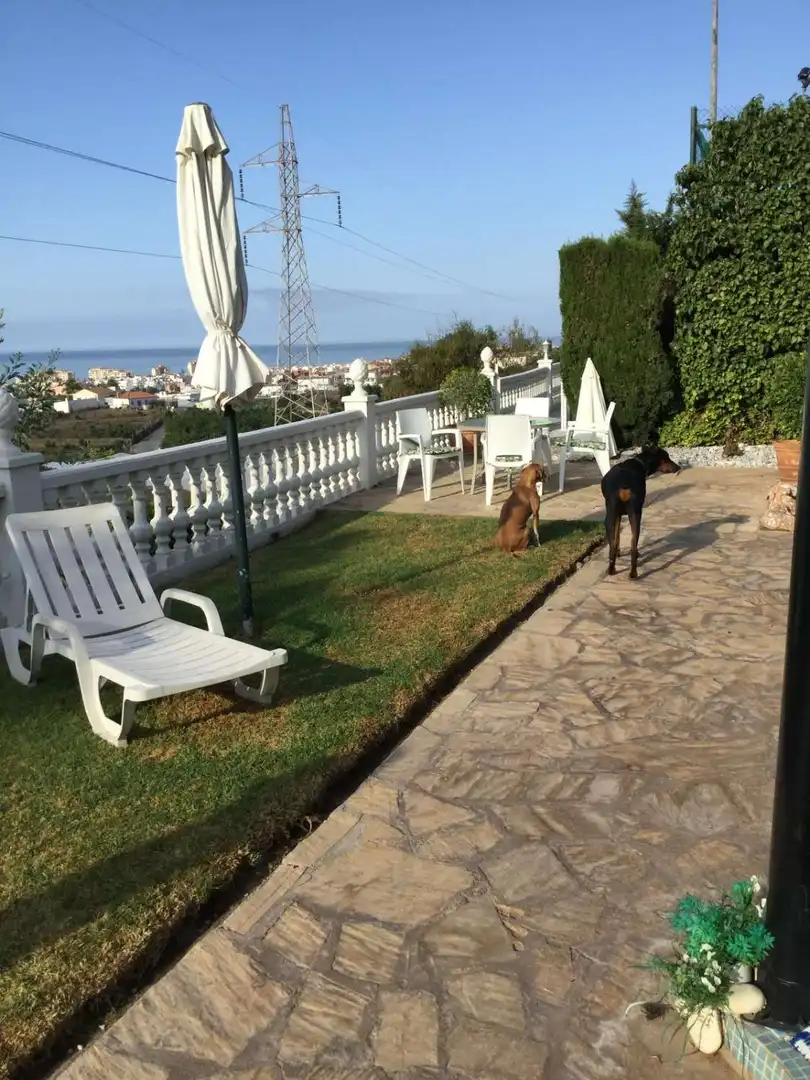 Chalet con piscina en venta en Urbanización Santa Rosa, imagen 42