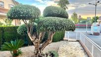 Jardí de Casa o xalet en venda en Benidorm amb Aire condicionat, Terrassa i Piscina