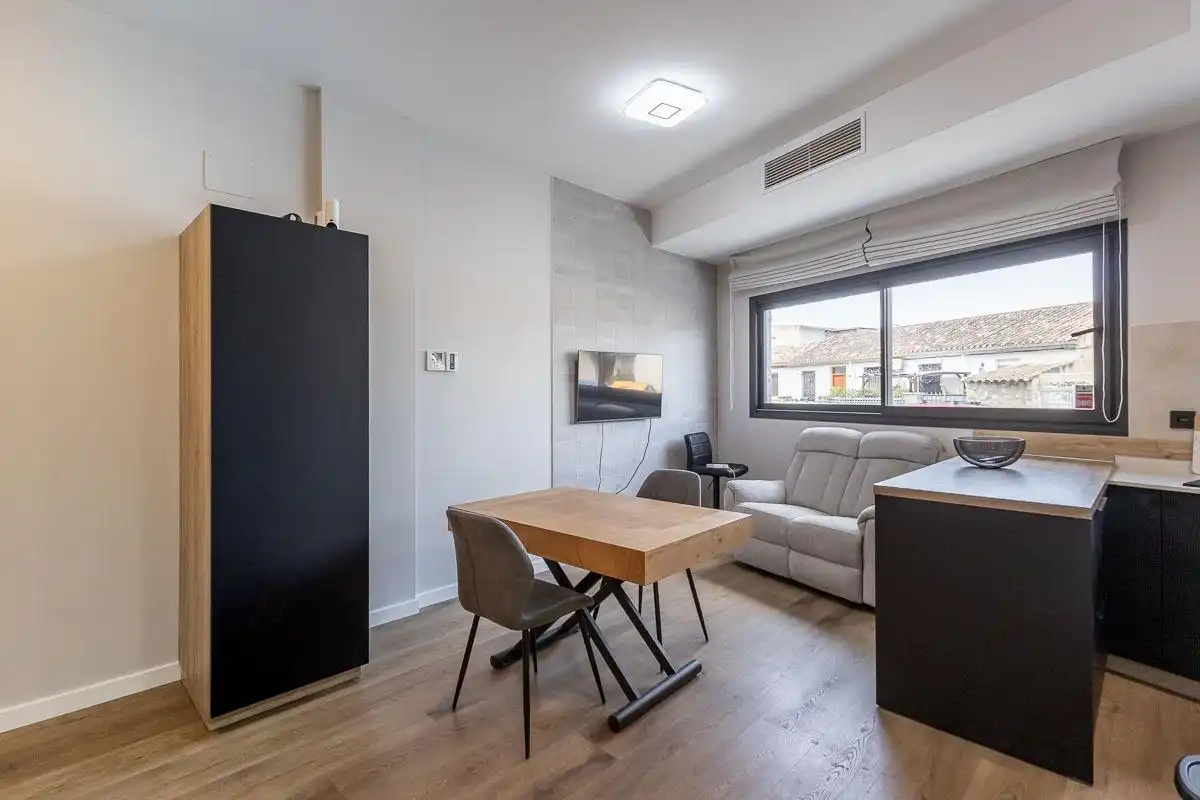 Sala de estar de Estudio en venta en Granada con Parquet