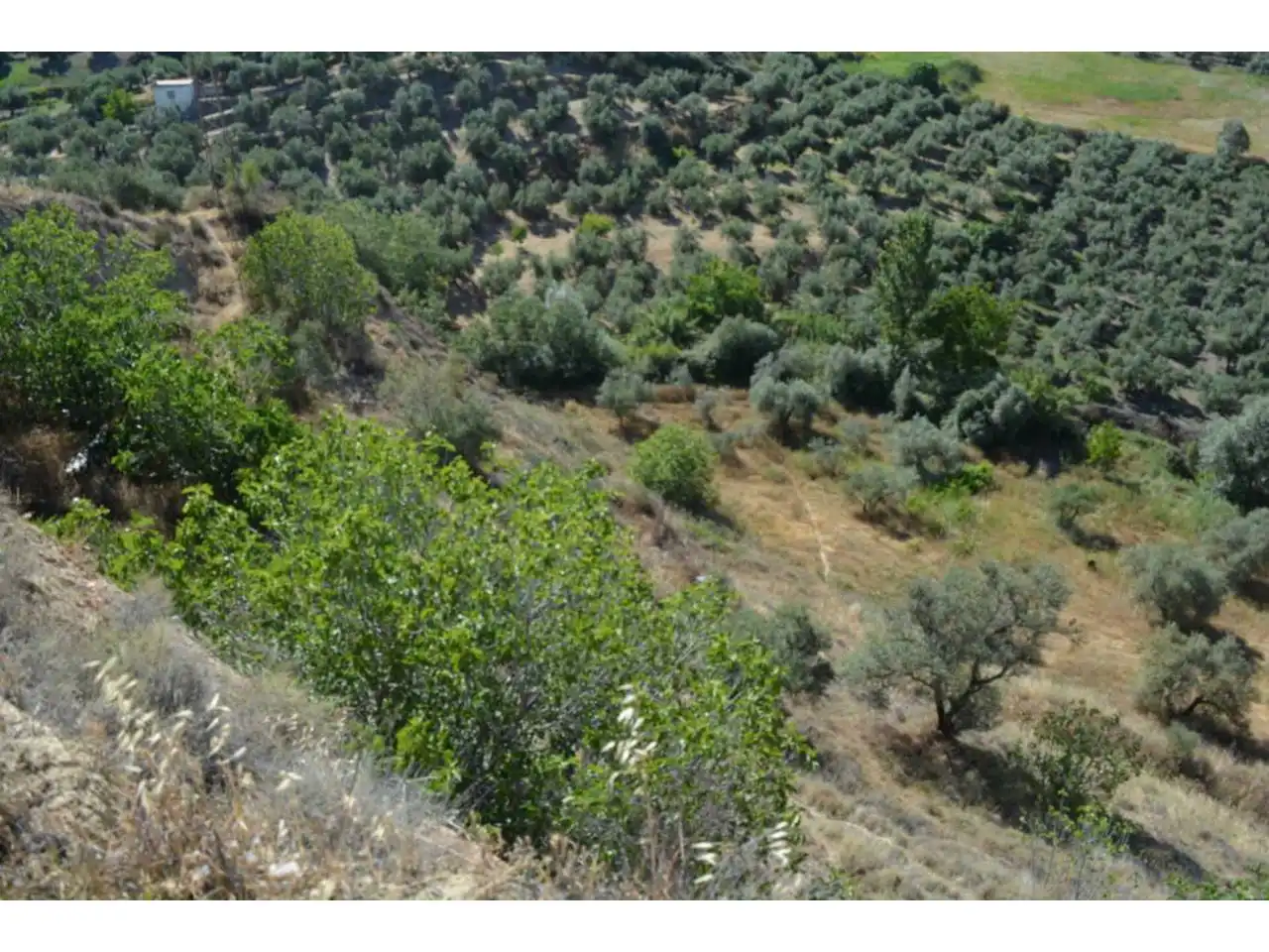 Lands and plots for sale in Plaza Iglesia 1, imagen 24
