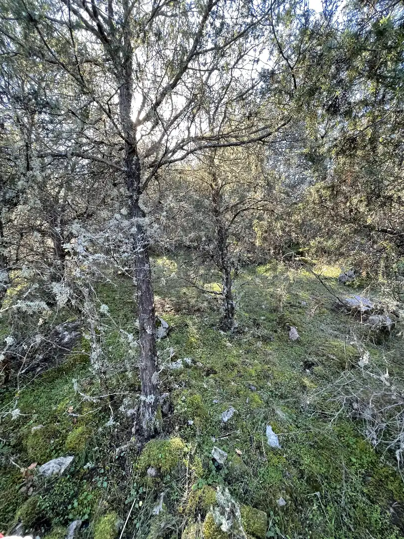 Terreni e lotti in vendita a Fresnedilla, imagen 4