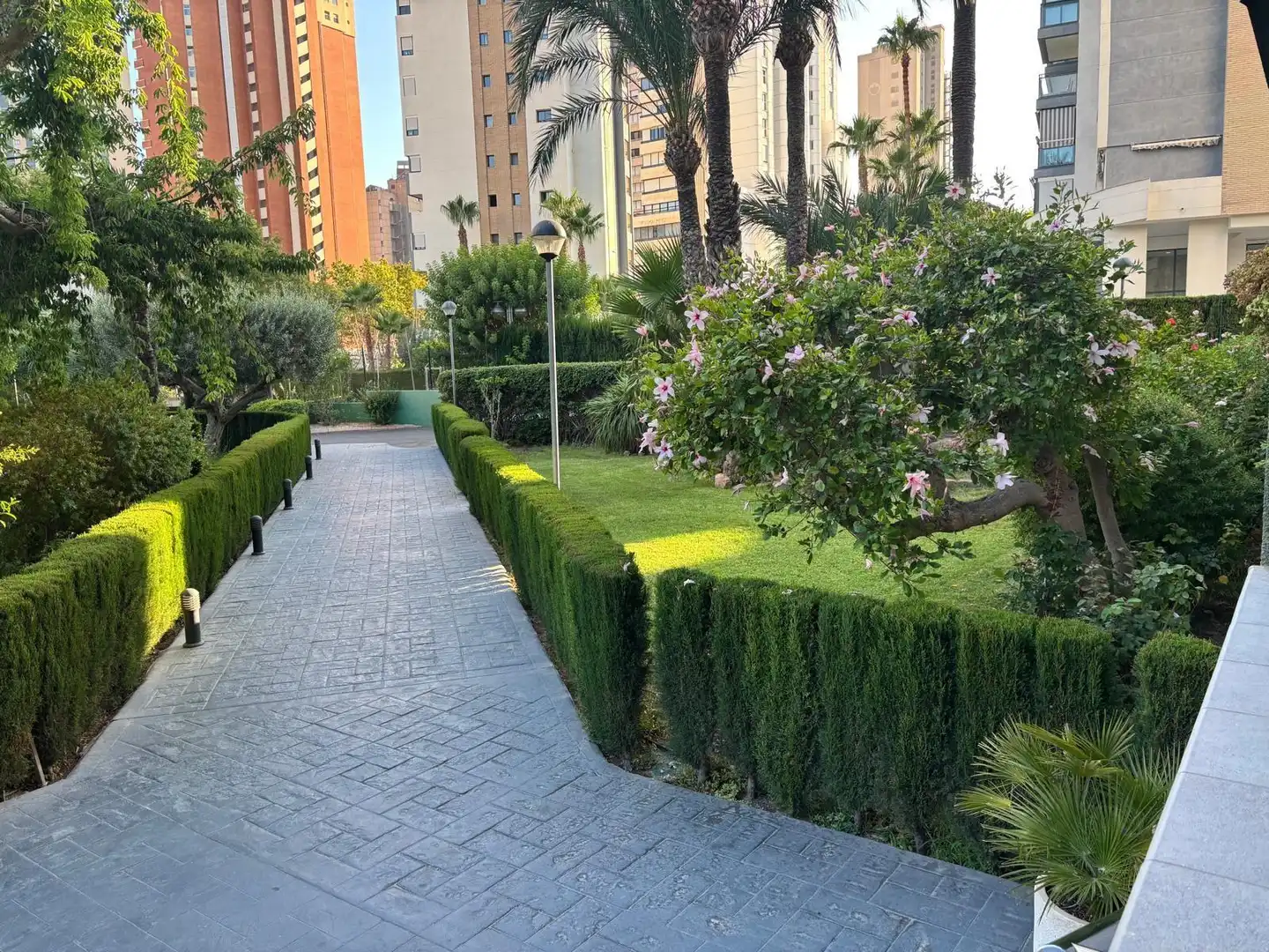 Apartamento con piscina en venta en Levante Alto, imagen 17