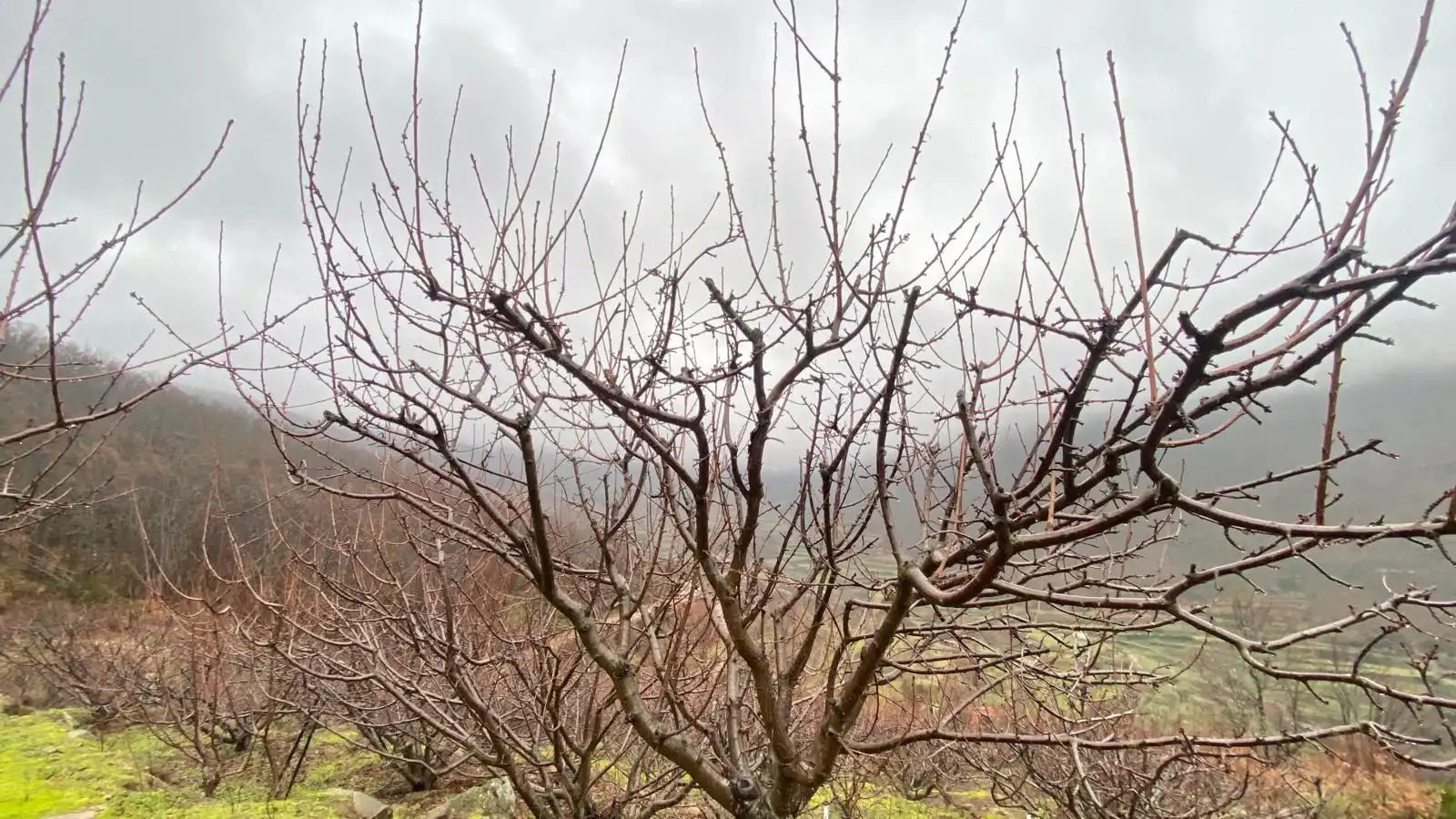 Terreni e lotti in vendita a Arroyomolinos de la Vera, imagen 2