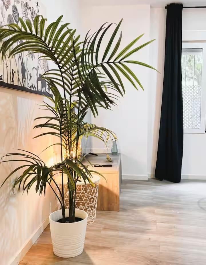 Pis de lloguer a Feria