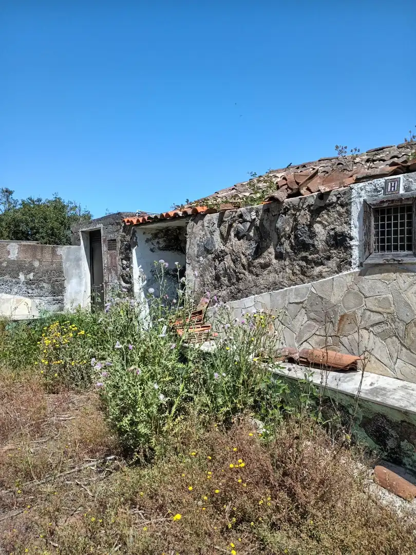 Vista exterior de Finca rústica en venta en Garachico