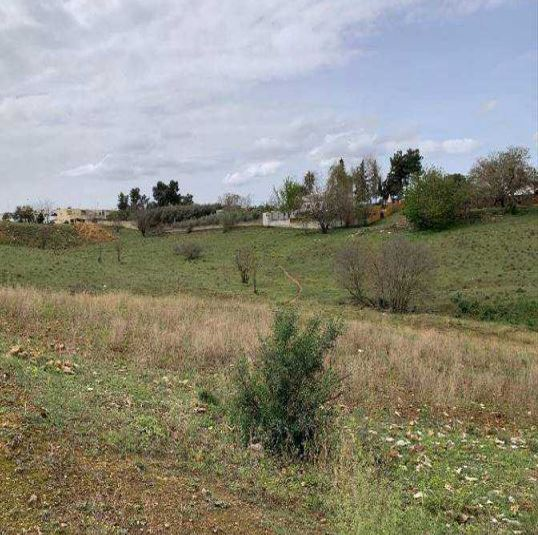 Residencial en venta en Alcalá de Guadaira