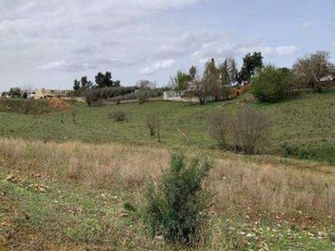 Terreni e lotti in vendita a Centro
