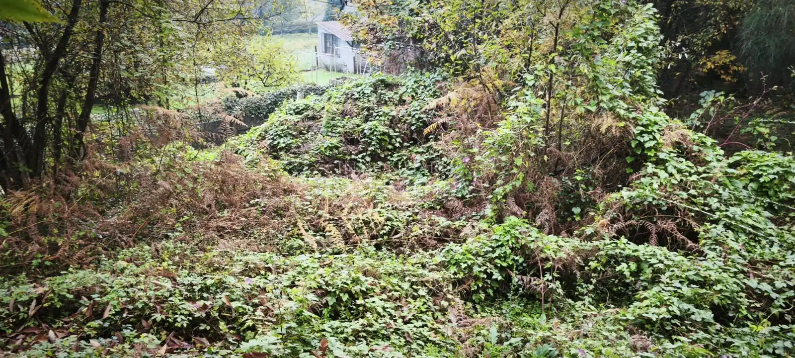 Terreny rústic en venda a Bouza (A)-Pontellas, imagen 11