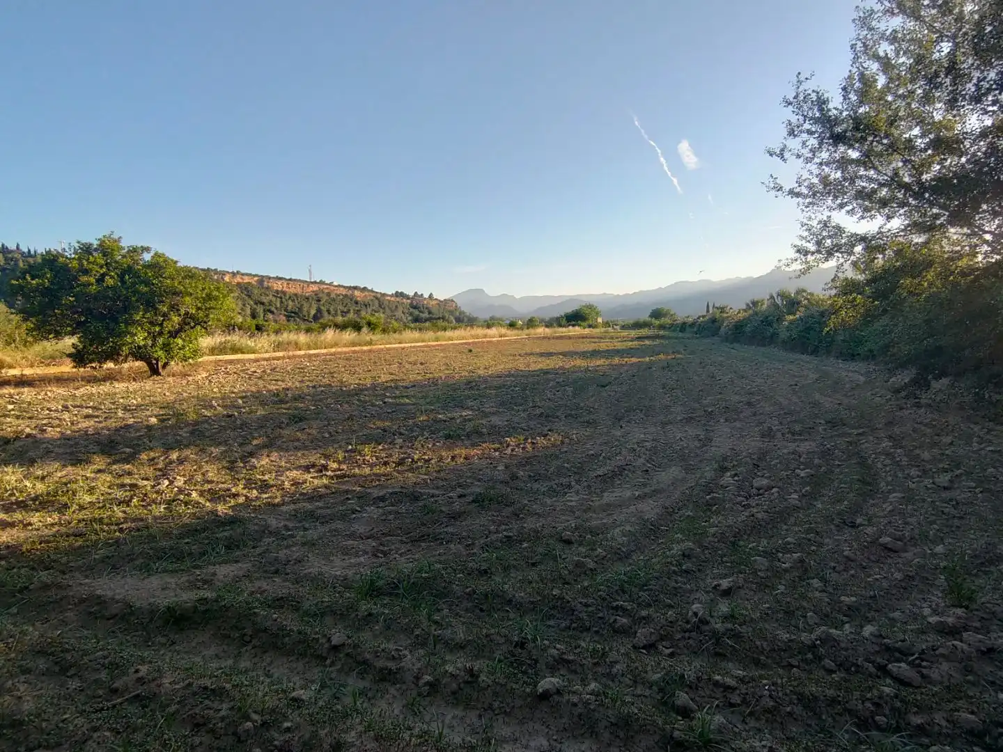 Terrain rustique à vendre à Diseminado Poligon 4 68, imagen 8