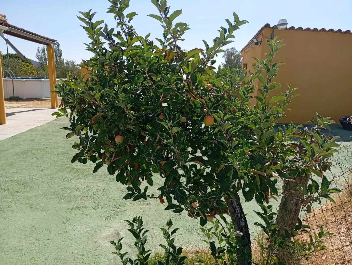 Chalet con piscina en venta en Ceres Golf, imagen 12