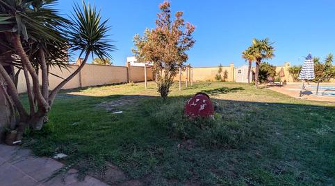 Foto 4 de Finca rústica en venda a Este, Badajoz