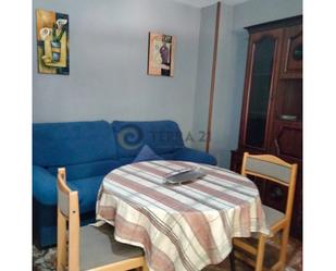 Living room of Flat to rent in  Jaén Capital  with Furnished