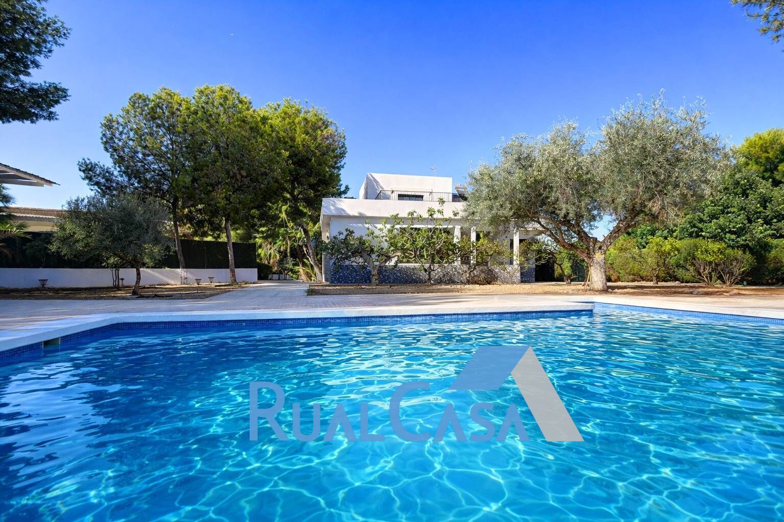 Exterior view of House or chalet for sale in San Vicente del Raspeig / Sant Vicent del Raspeig  with Private garden, Terrace and Swimming Pool