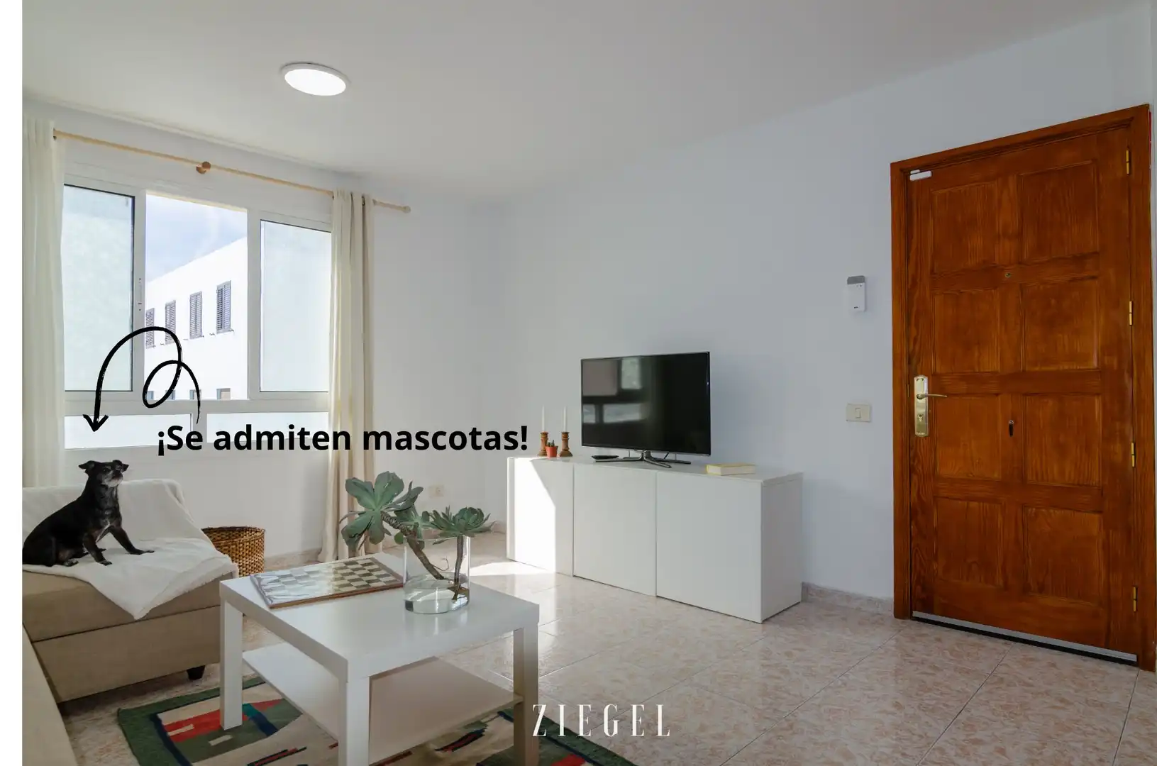 Living room of Flat for rent in Arucas  with Furnished and Pets allowed