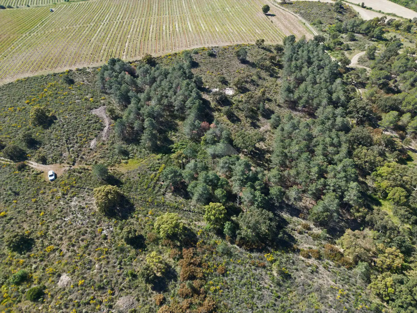 Terrenys i solars en venda a Garriguella, imagen 8