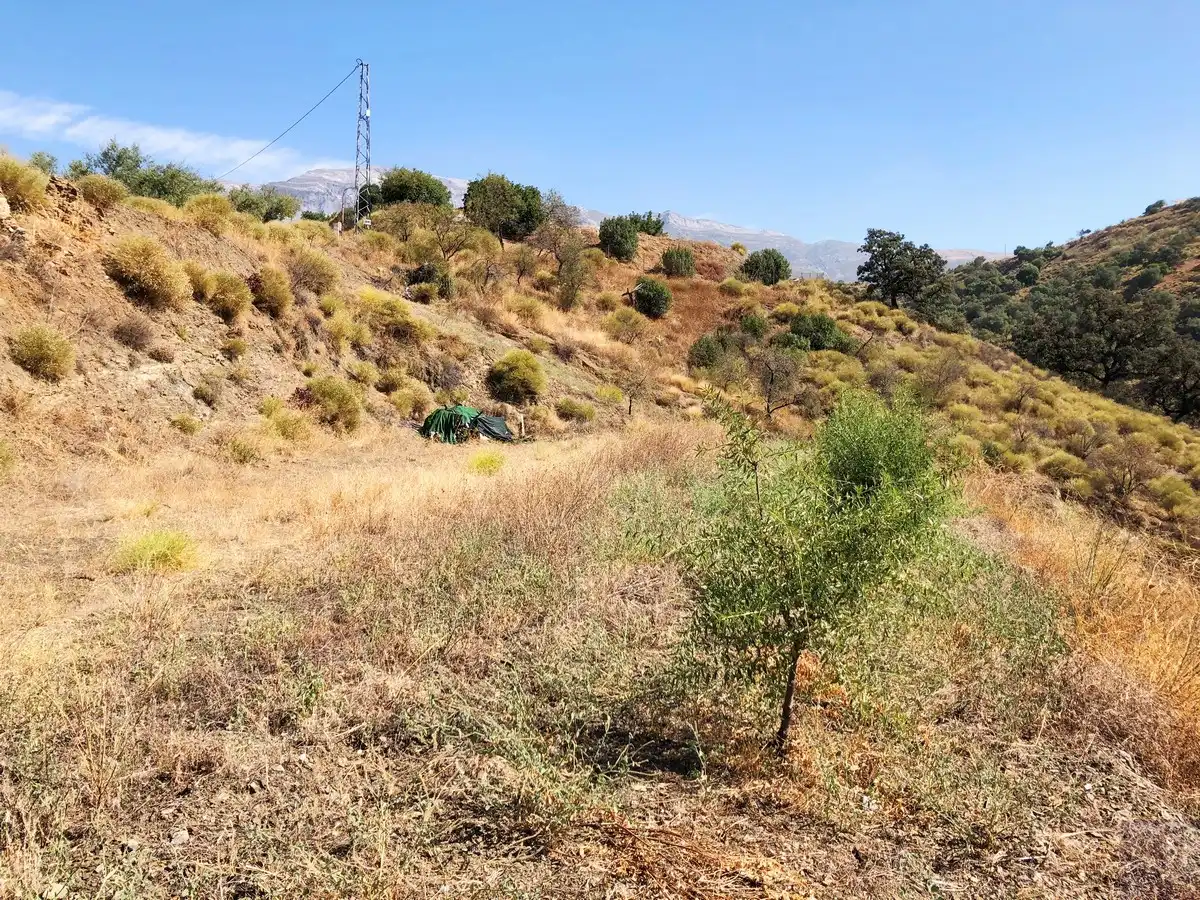 Terrenos y solares en venta en Sedella, imagen 5