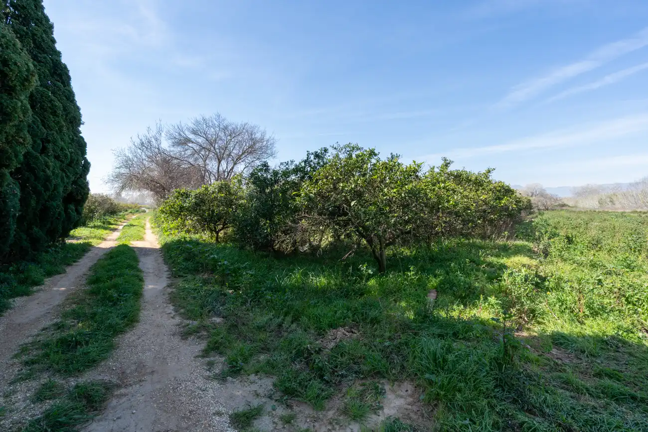 Rural land for sale in Vinallop, imagen 14