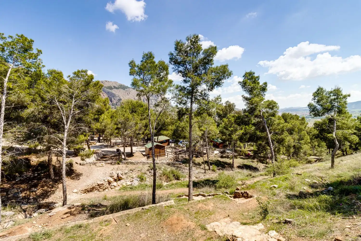 Reihenhaus mit Pool zum Verkauf in Calle Carmen Laforet 58, imagen 47