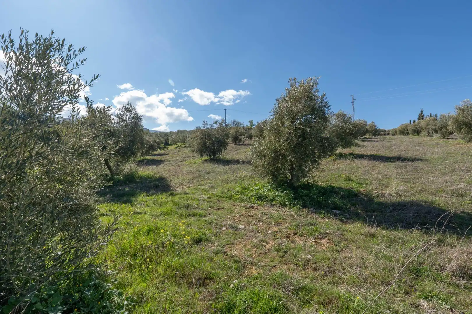 Terreni e lotti in vendita a Cogollos de la Vega, imagen 17