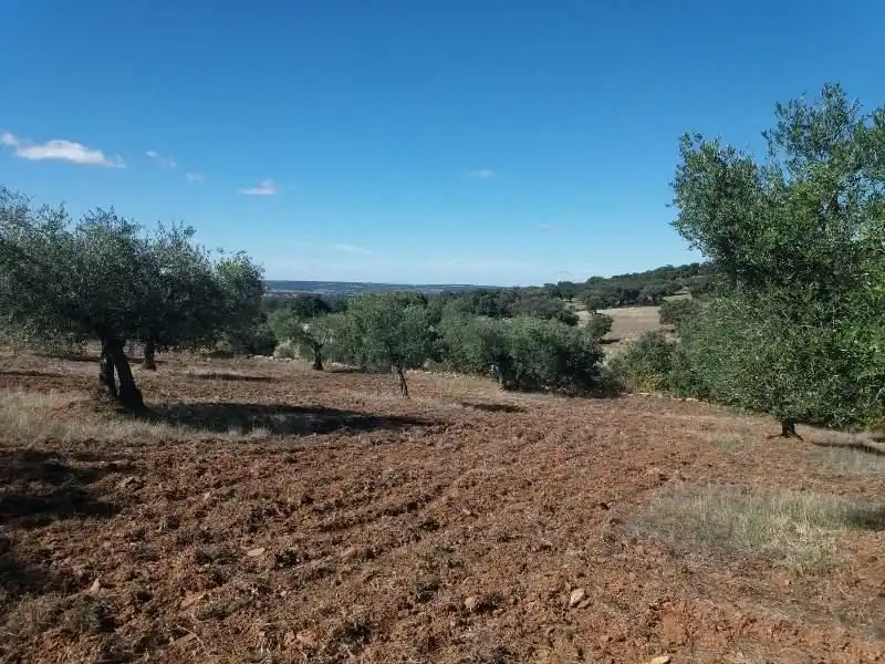 Residential land for sale in Fuente Obejuna, imagen 2