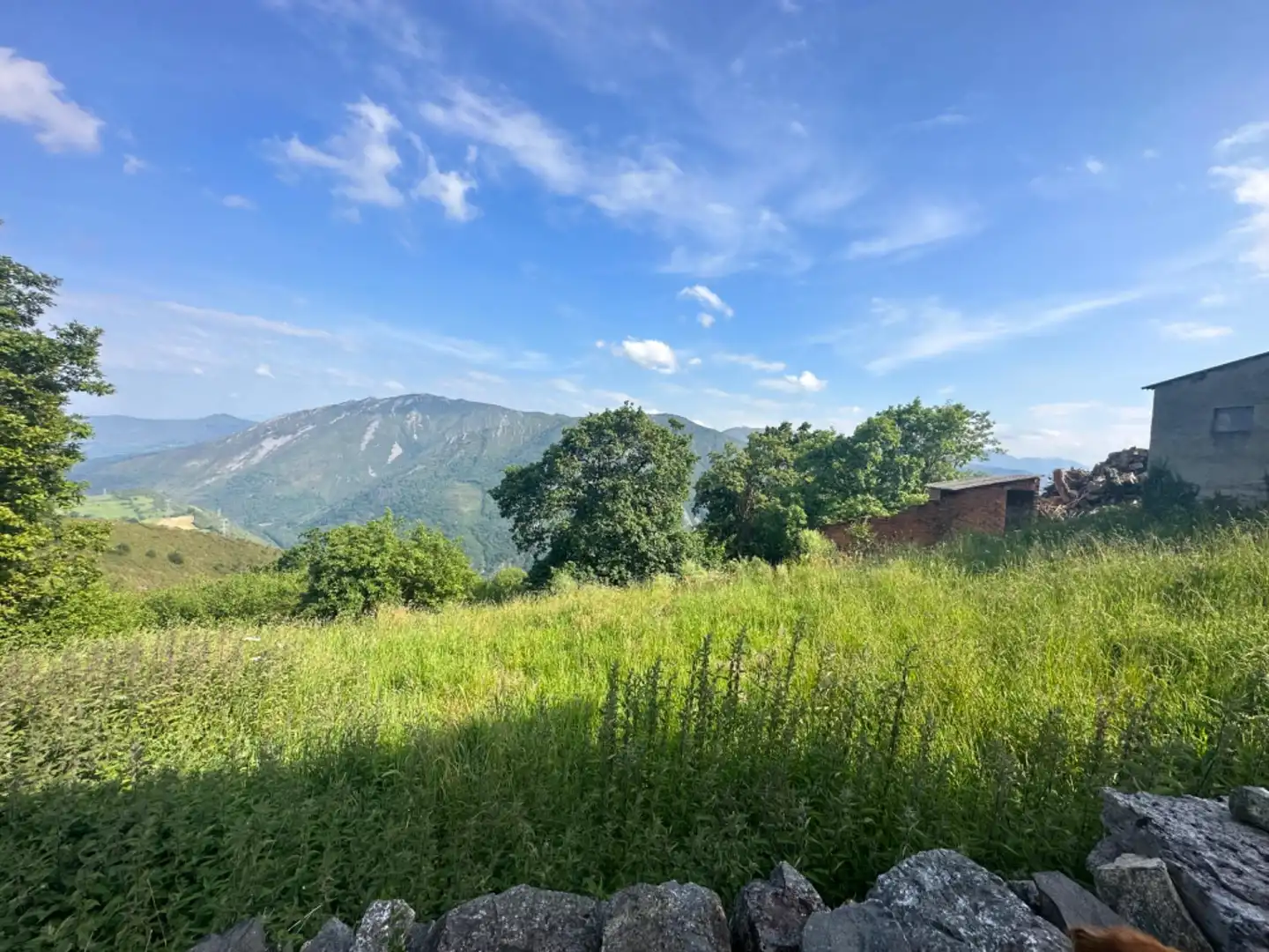 Casa o xalet en venda en Salas amb Jardí privat