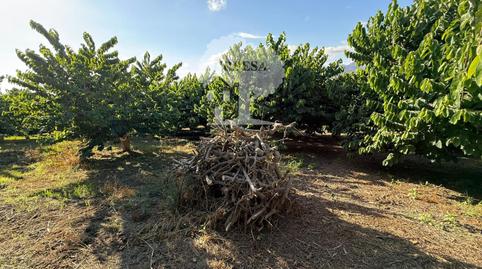 Photo 5 of Land for sale in Pataura, Motril  ciudad, Motril