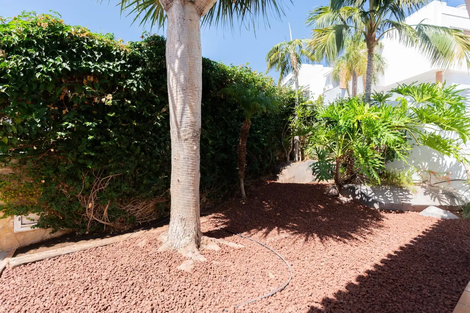 Jardí de Casa o xalet de lloguer en Tabaiba