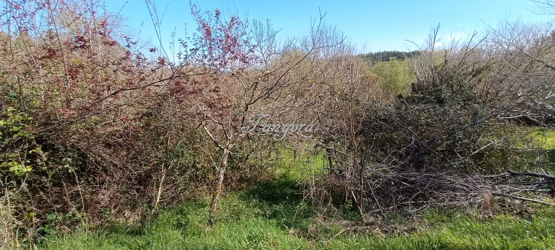 Finca rústica en venda en Morga amb Jardí privat i Balcó
