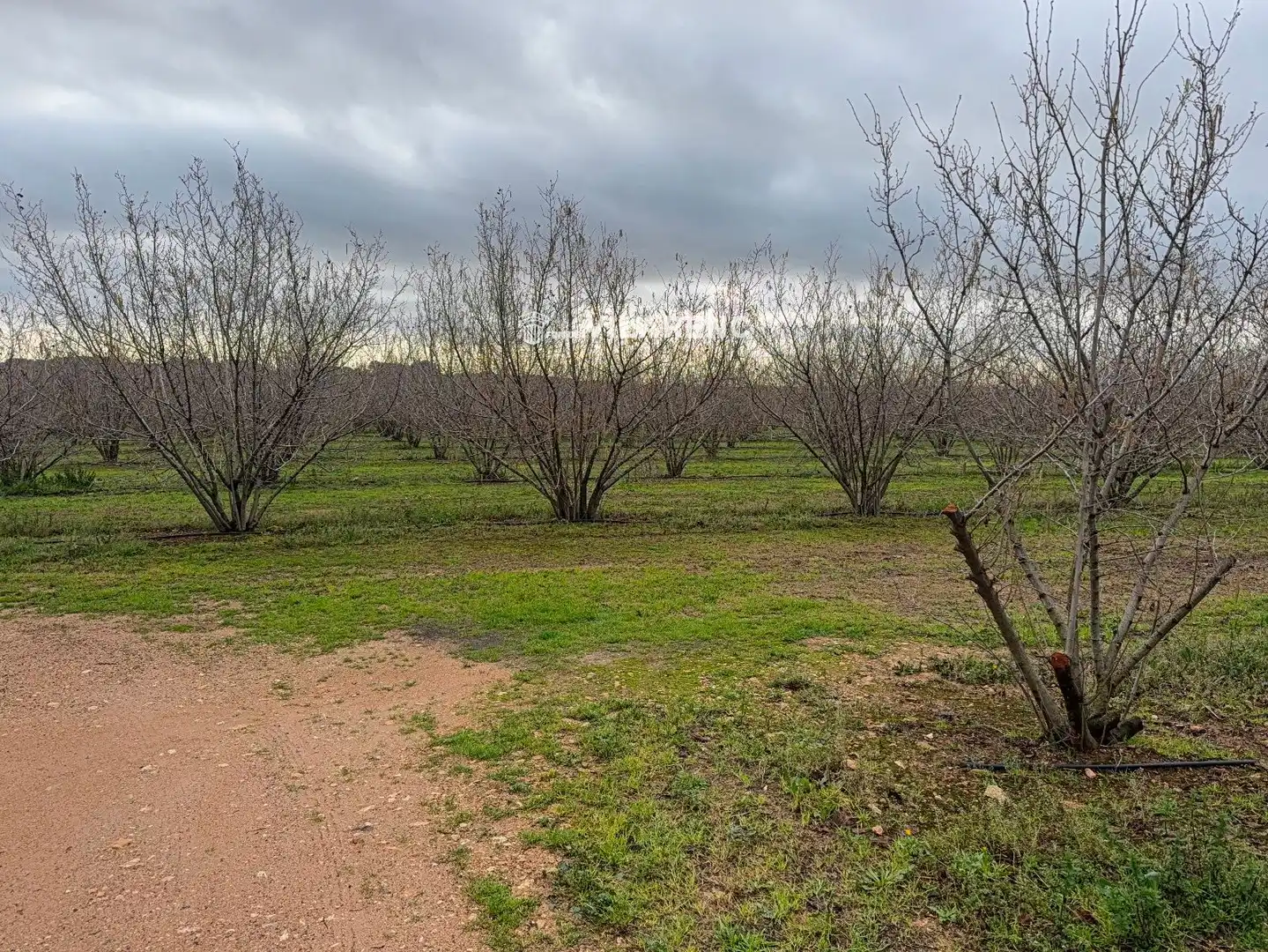 Terrain rustique à vendre à Vallmoll, imagen 26