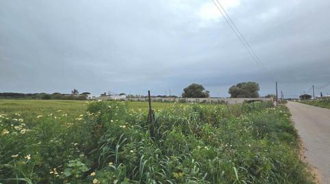 Foto 4 de Terreno en venta en Carretera Urbanizacion de Roche, 52, Roche, Cádiz