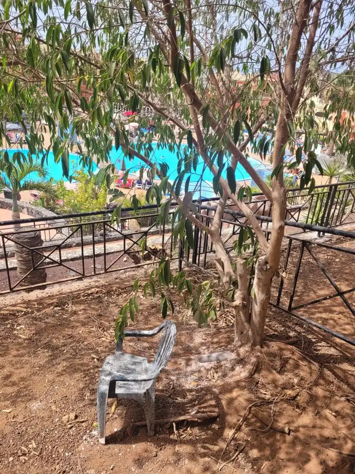 Flat with pool for sale in Meandro, imagen 7