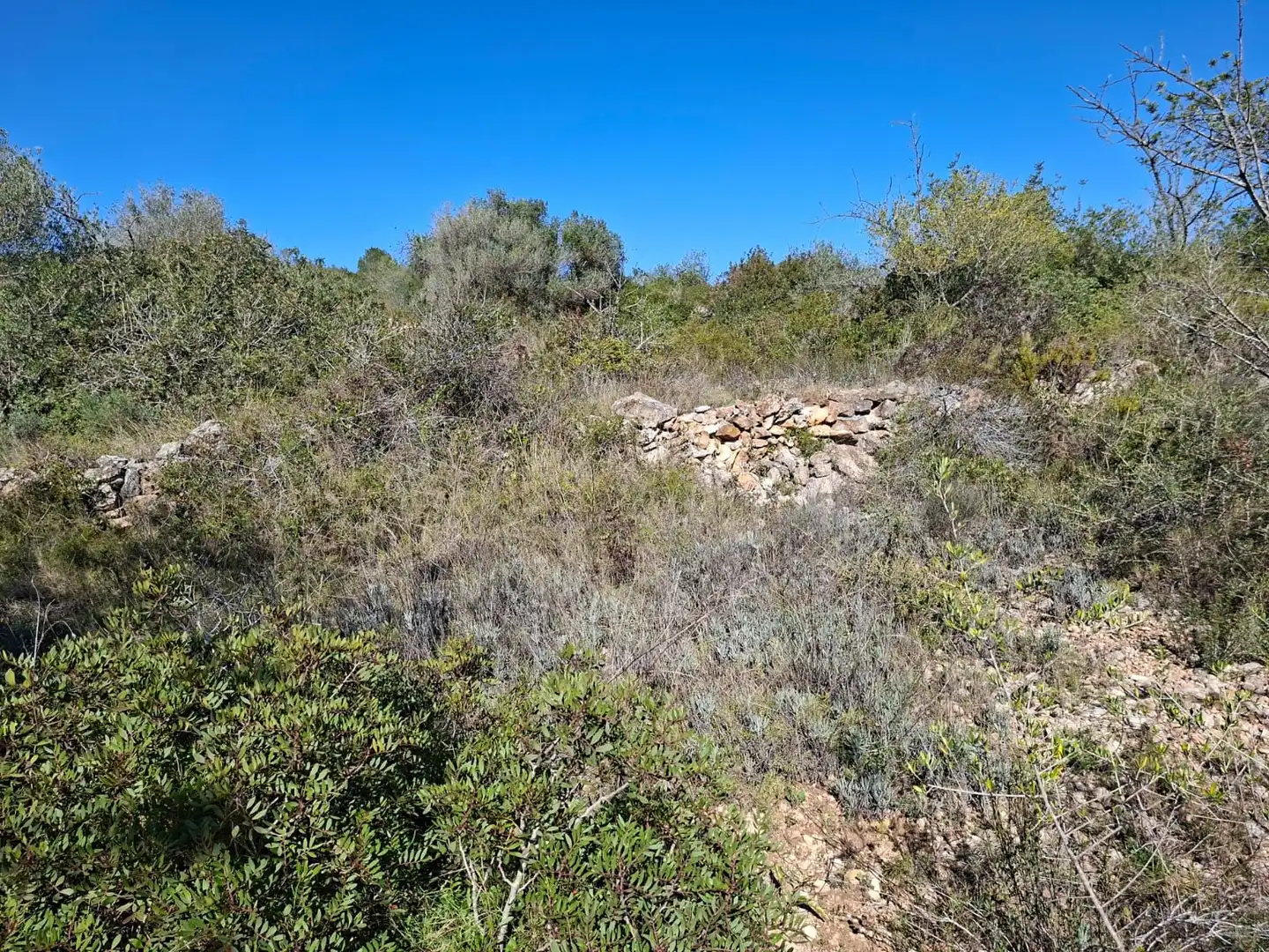 Terreny rústic en venda a Ulldecona, imagen 12