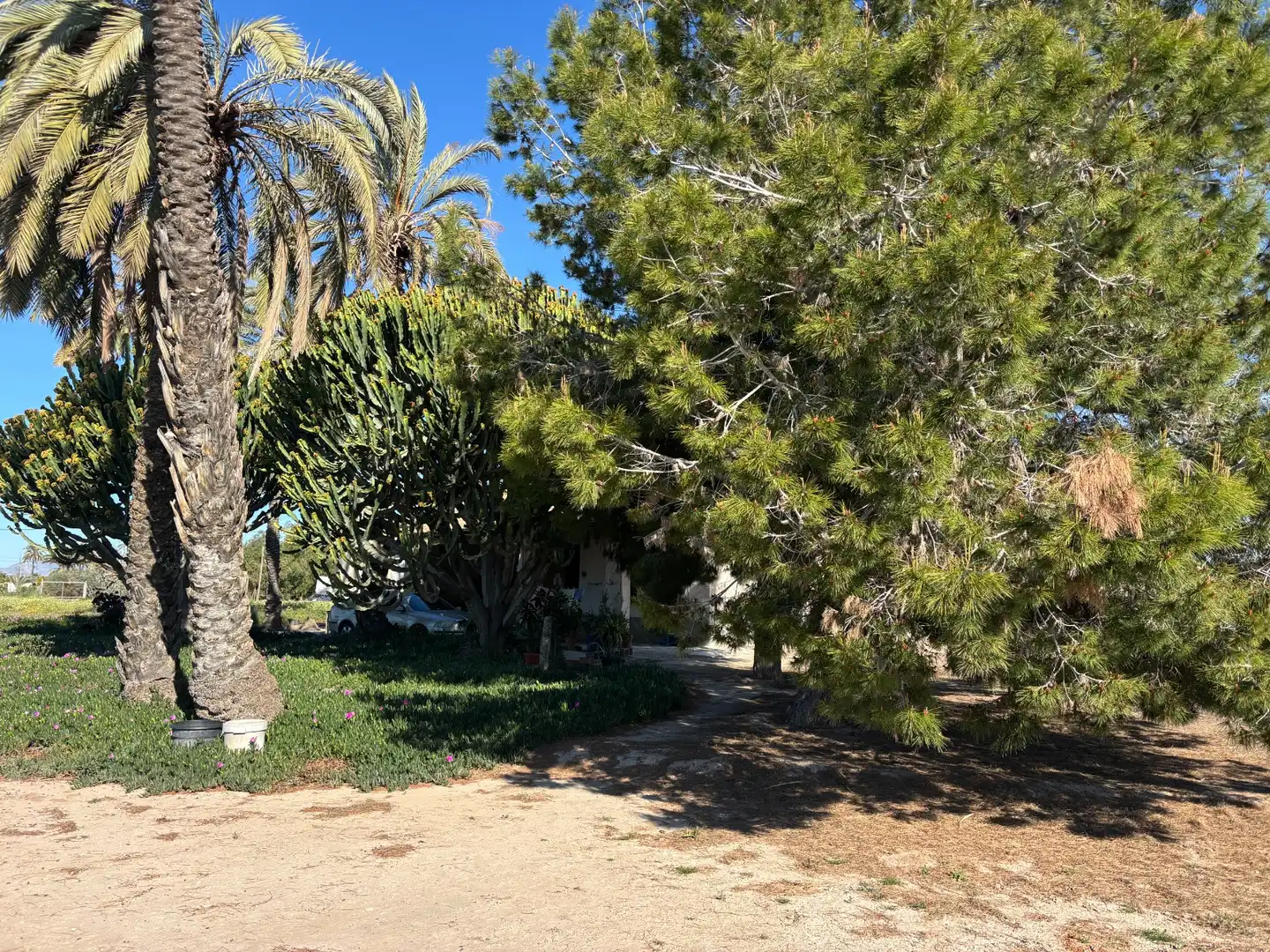 Garden of Houses for sale in Elche / Elx