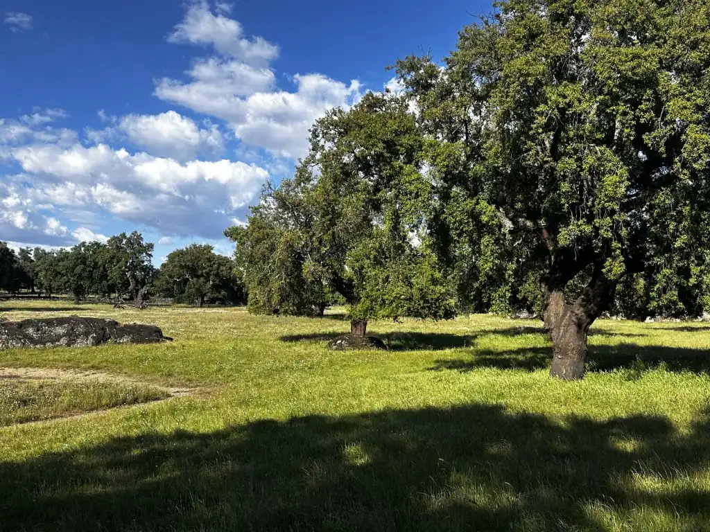 Casa rústica en venda a Lugar La Mula