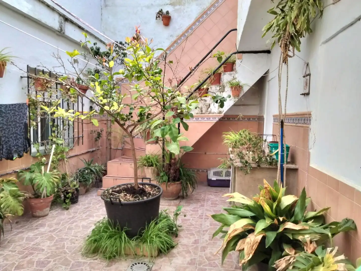 Terraza de Casa o chalet en venta en Puerto Real