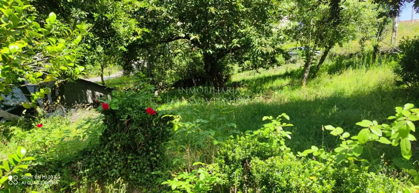 Casa con jardín en venta en Del Val, imagen 51
