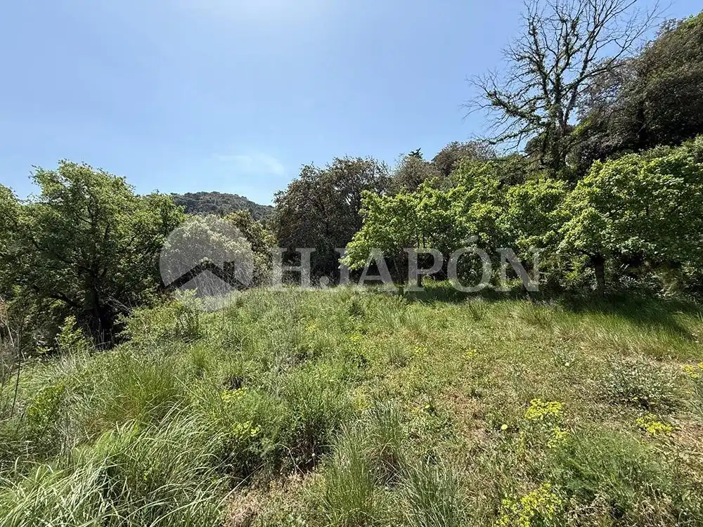 Terreny residencial en venda a Vallromanes, imagen 13