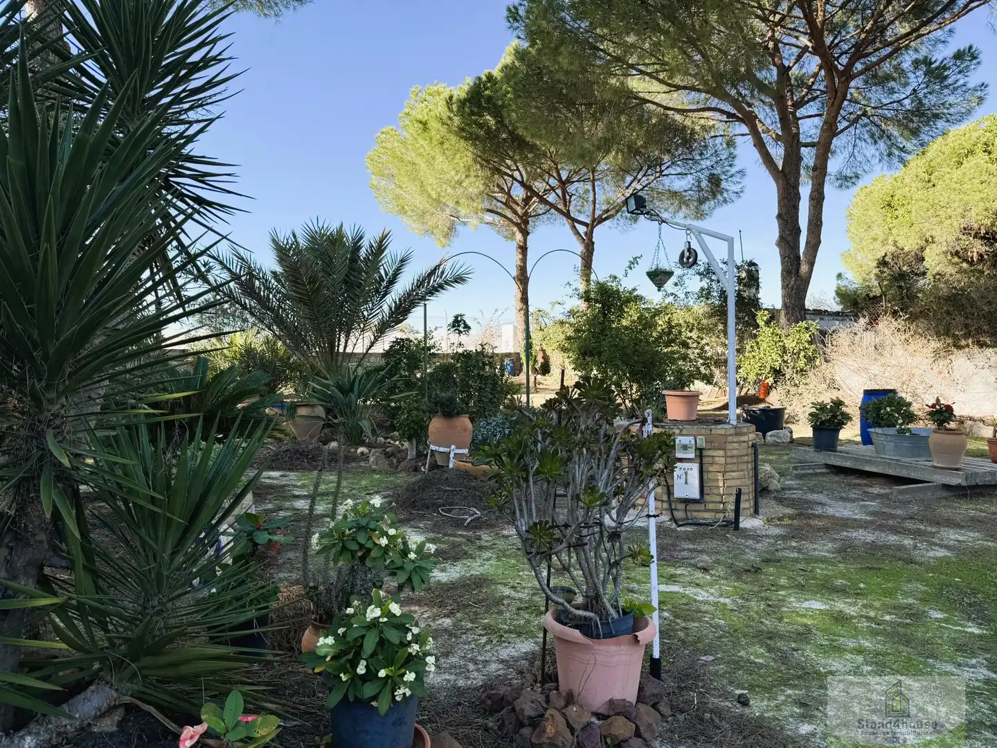 Jardín de Casa o chalet en venta en Bonares con Aire acondicionado, Calefacción y Terraza