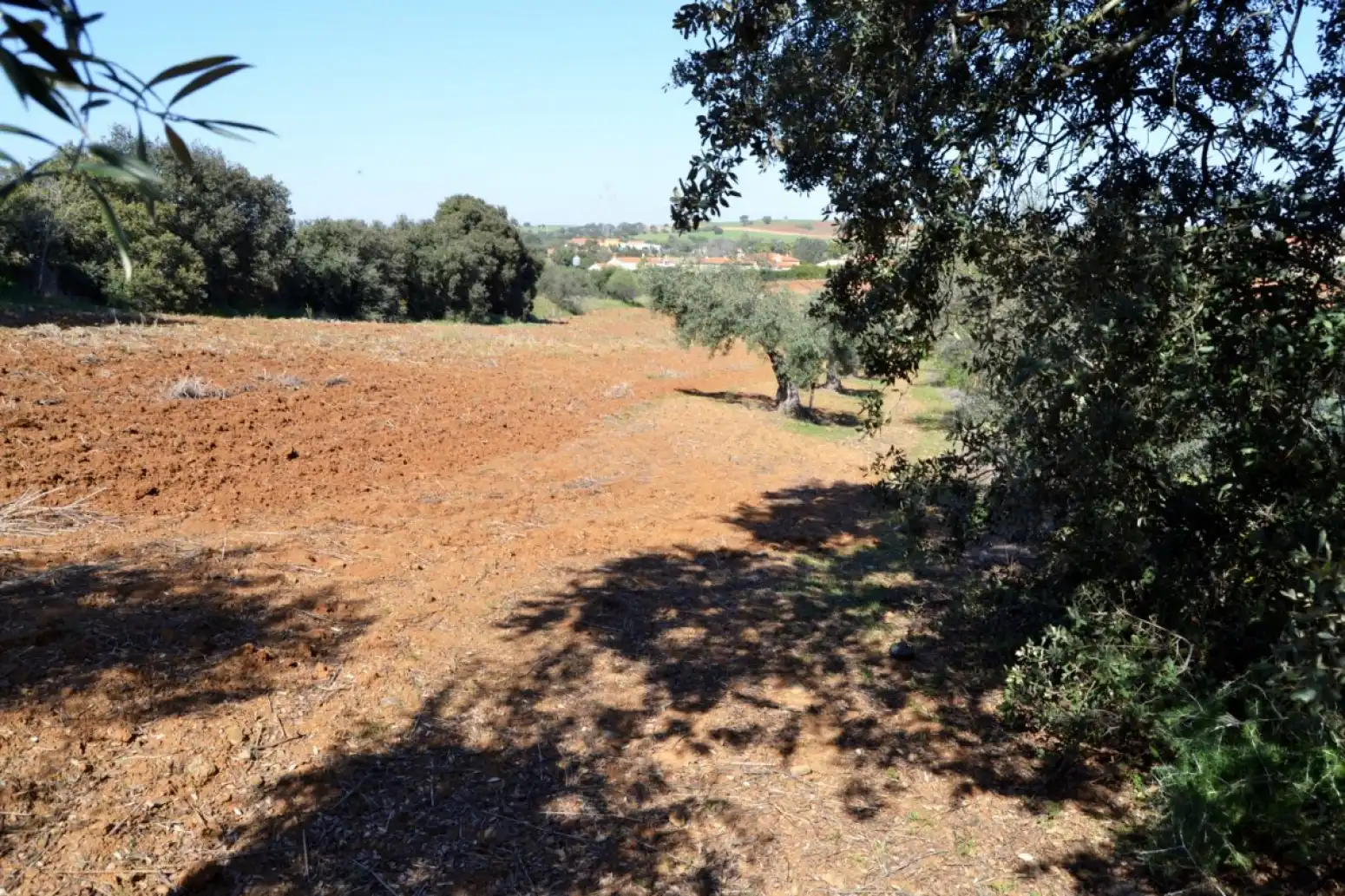 Terreni e lotti in vendita a Don Álvaro, imagen 4
