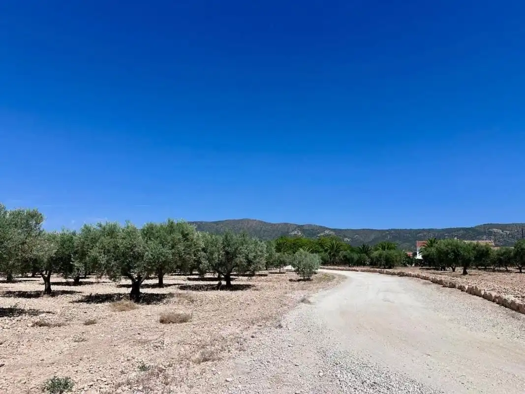 Terrain résidentiel à vendre à Monóvar  / Monòver, imagen 7