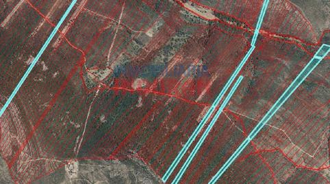 Photo 3 of Country house for sale in Mesas de Ibor, Cáceres