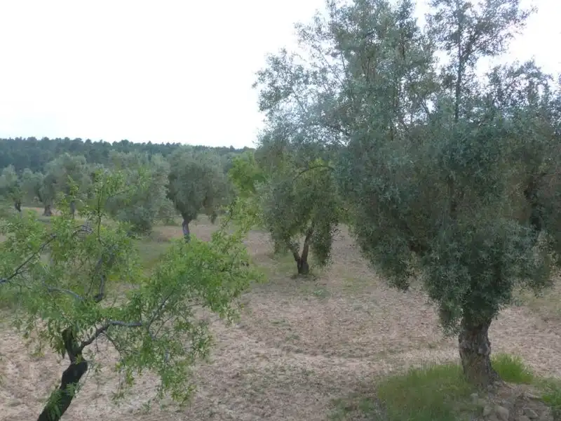 Country homes for sale in Valjunquera