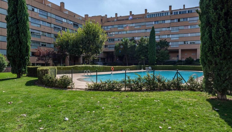 Foto 1 de Pis de lloguer a J. Antonio Navarrete, 9, Conde Orgaz - Piovera, Madrid