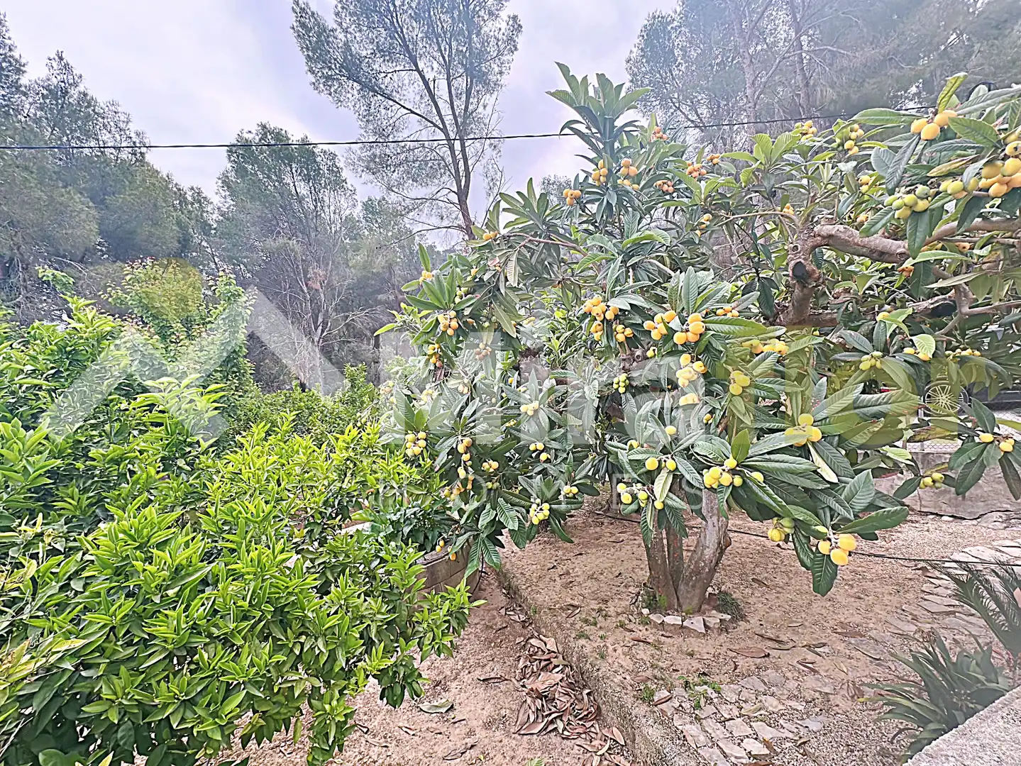Finca rústica en venta en Pego con Jardín privado, Terraza y Amueblado
