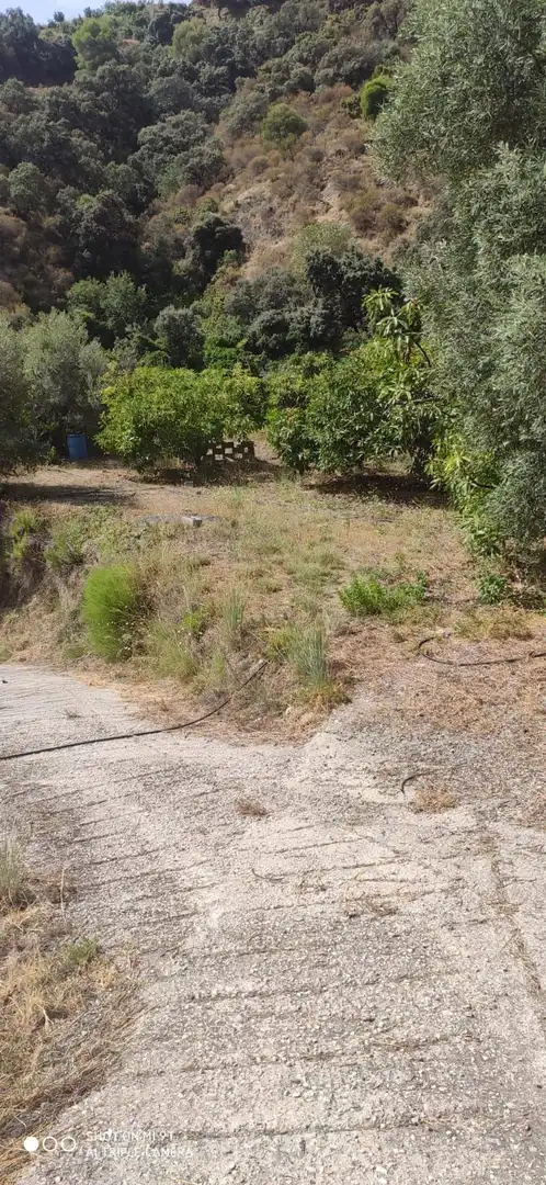 Finca rústica en venta en Motril con Jardín privado