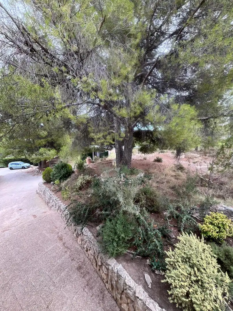 Casa rústica amb piscina en venda a Camino VIAL-5(EL LLANO), imagen 56