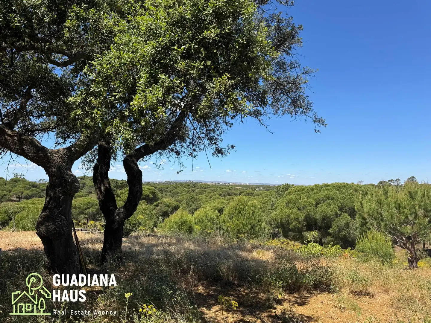 Finca rústica en venda en Ayamonte
